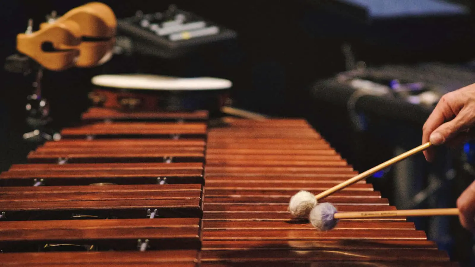 7 Instruments Similar to the Xylophone (With Video Samples)