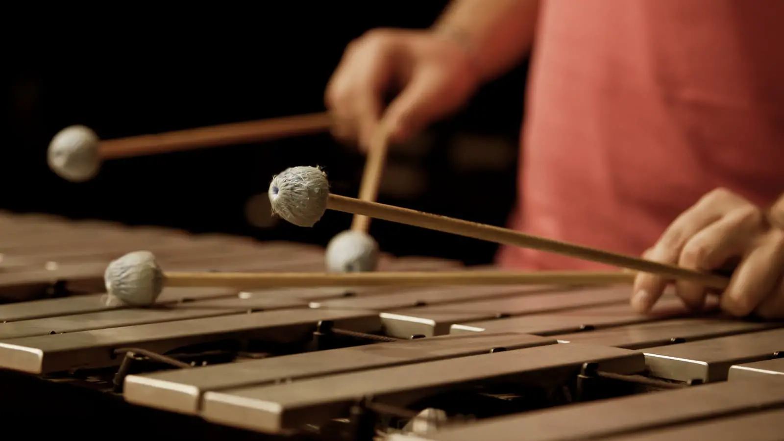 Famous Xylophone Players: Best of All Time!