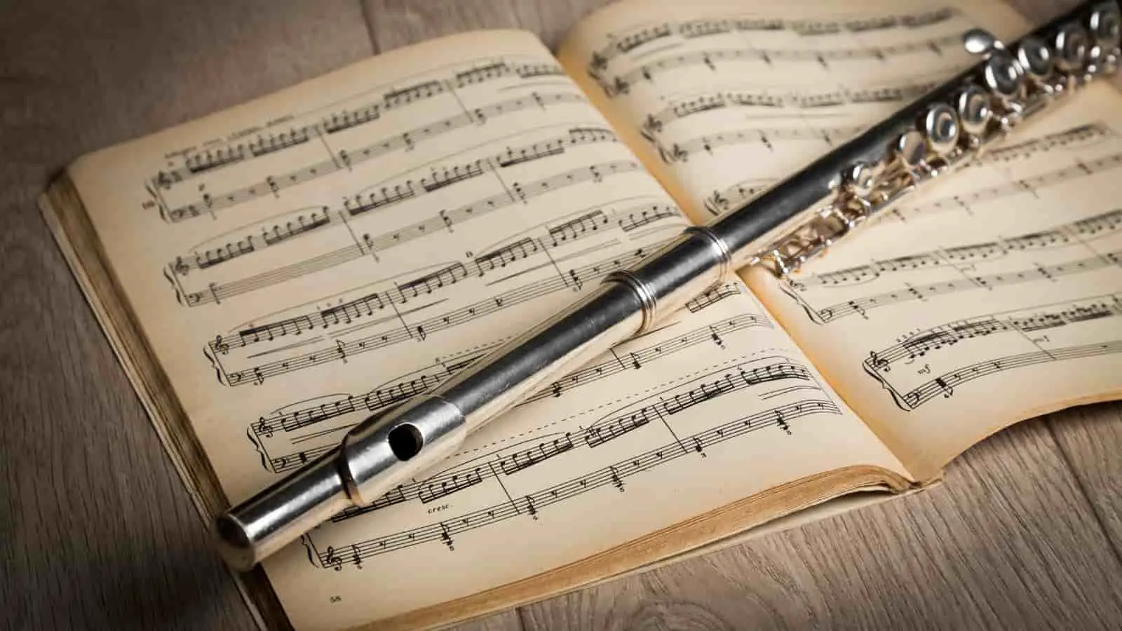Why Are Flutes So Expensive? (In-Depth Answer)