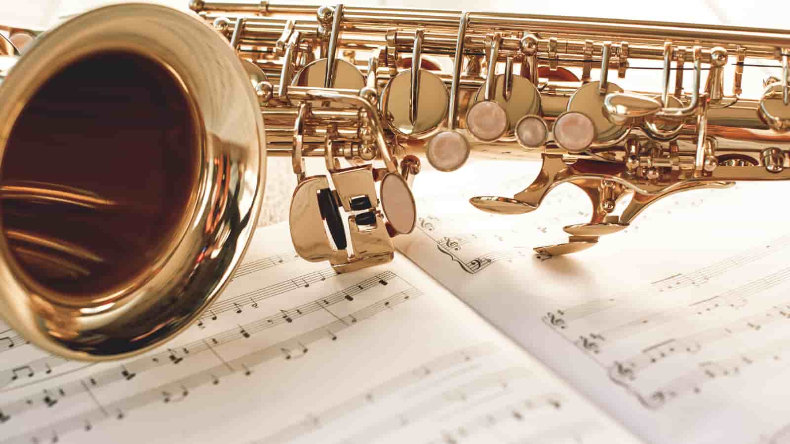 Why are Saxophones Woodwinds and not Brass (Deep Dive)