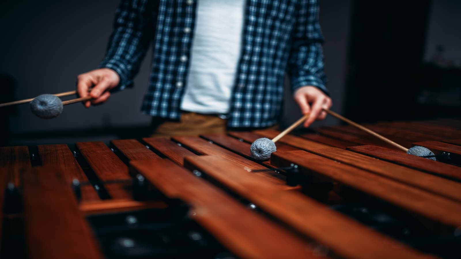 17 Songs with Xylophones In Them