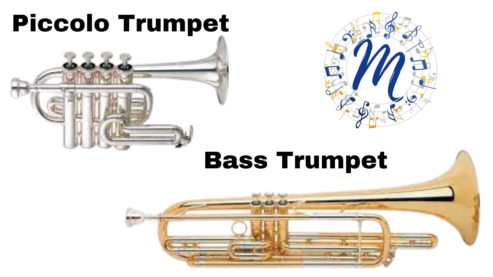 Marching Band Trumpet Your Complete Guide Top Music Tips