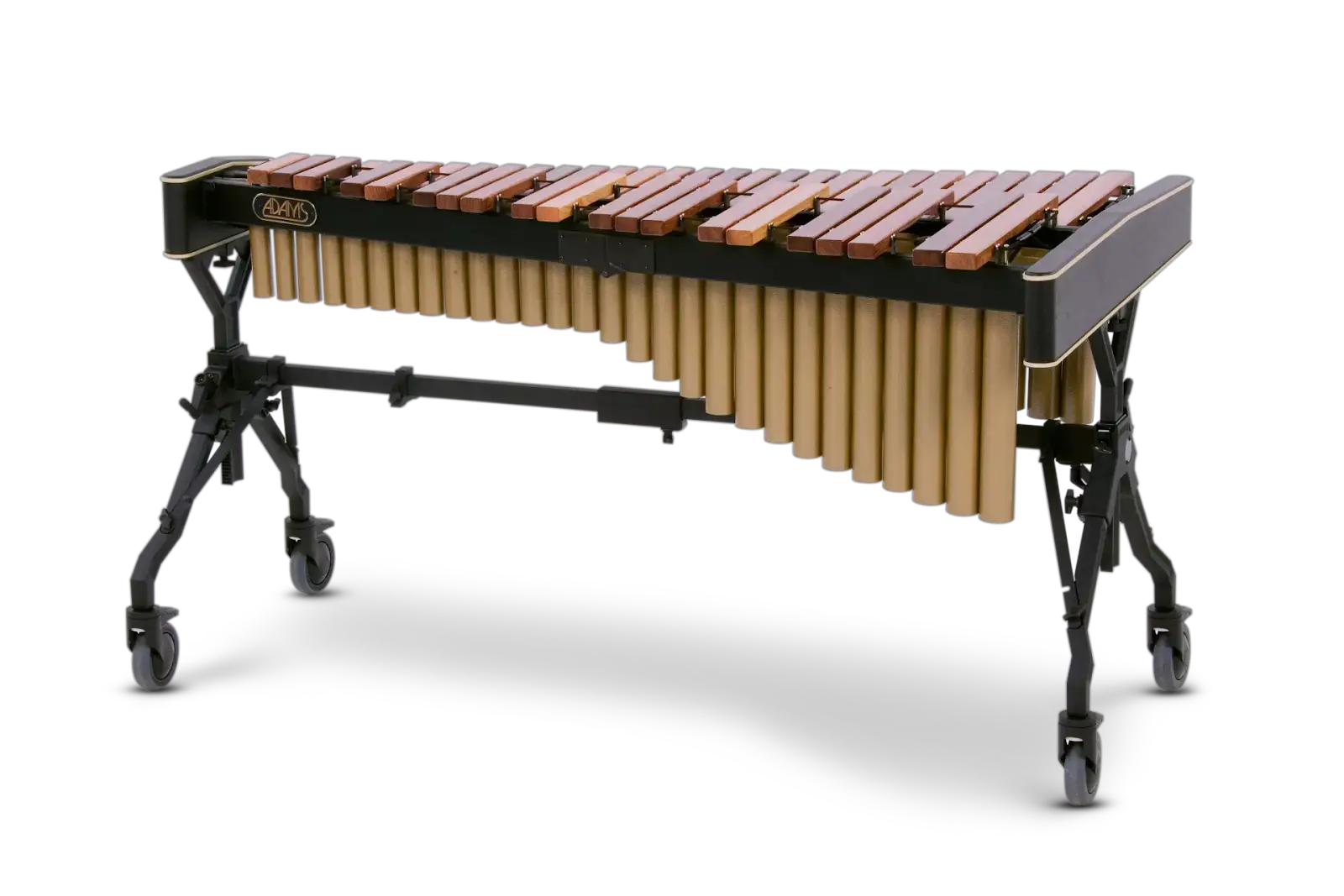 How Sound Is Made on the Xylophone? (With Video Examples)