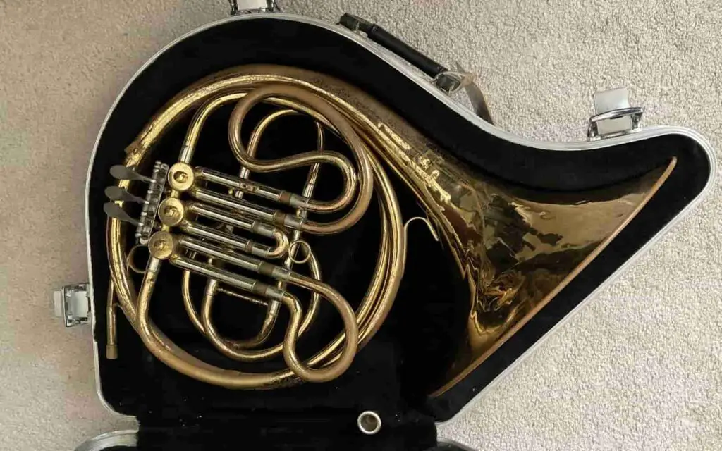 French horn in case