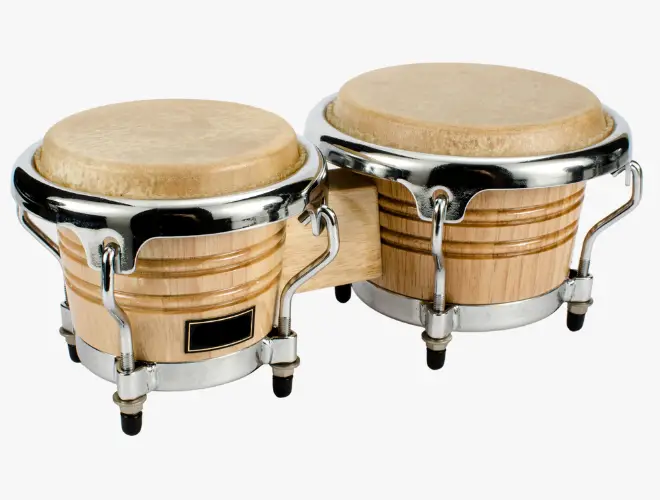 Bongo Drums