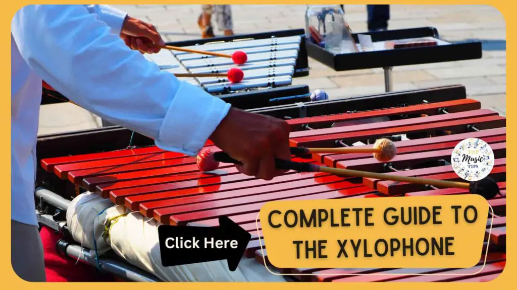 Complete guide to the xylophone