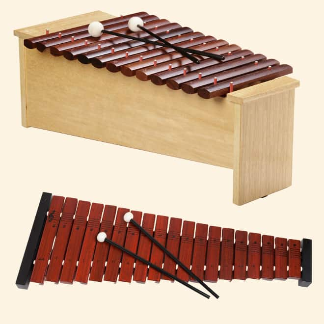 Student Xylophone