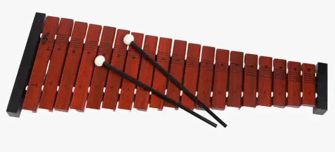 xylophone