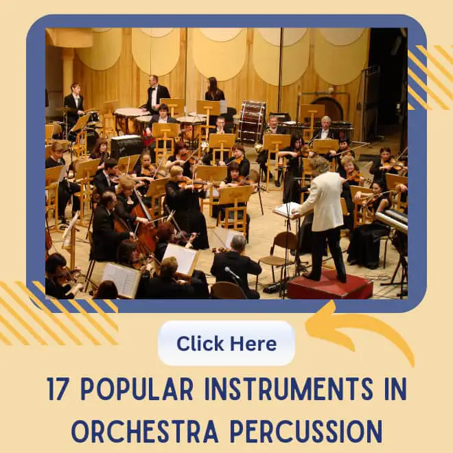 percussion instruments in orchestra