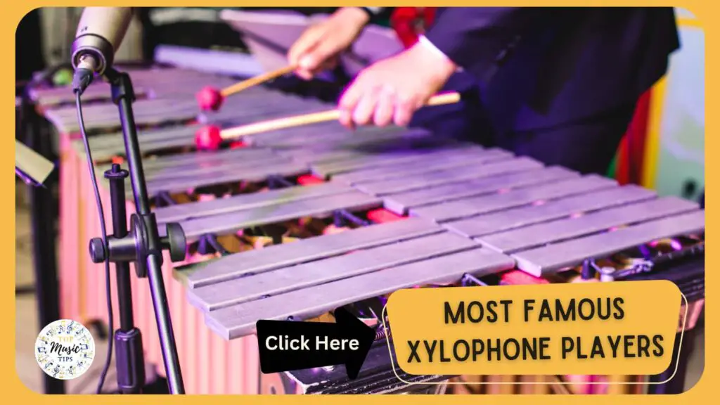 most famous Xylophone players of all time. 